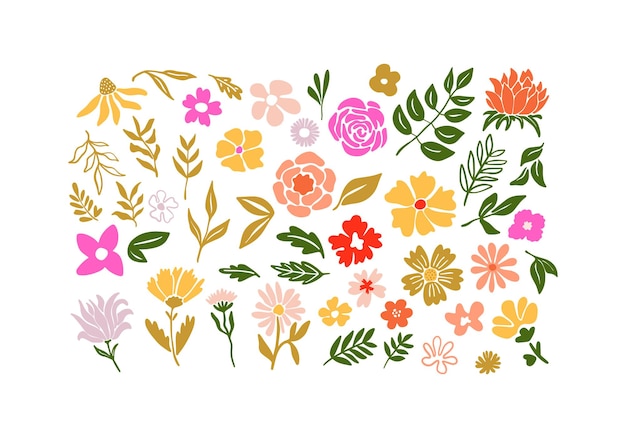 Colección floral vibrante con una variedad de flores dibujadas a mano, hojas y elementos naturales