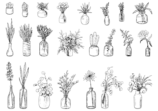 Colección de floreros variados, botellas, tarros de flores, plantas. Ilustración de vector dibujado a mano. Conjunto botánico vintage. Elementos decorativos de contorno floral aislados en blanco