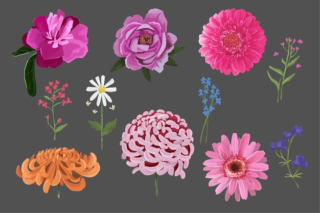 Colección de flores de acuarela dibujada a mano