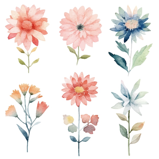 colección de flores de acuarela pintada a mano de vector