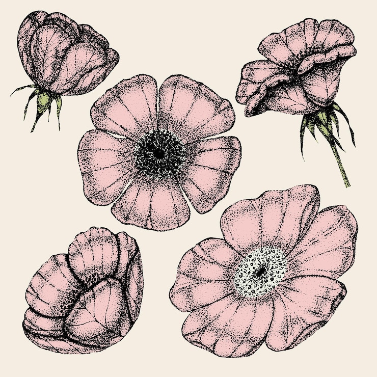 Vector colección de flores antiguas hojas y bayas de rosa silvestre rosa cadera bocetos dibujados a mano estilo pointillismo