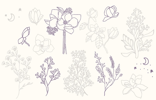 Vector colección de flores de belleza con lavanda, magnolia.