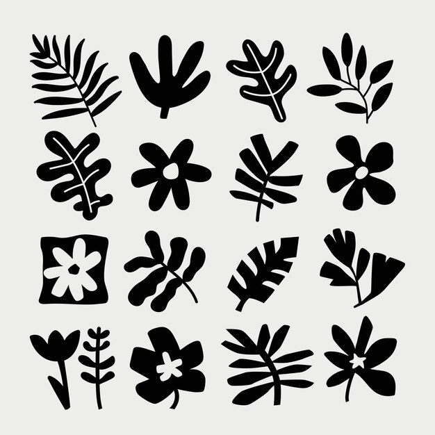 una colección de flores blancas y negras con las palabras salvajes en ellas