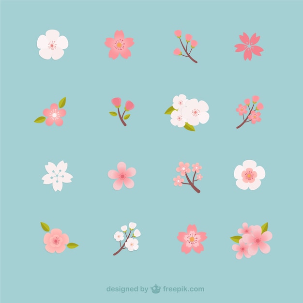 Colección de flores de cerezo