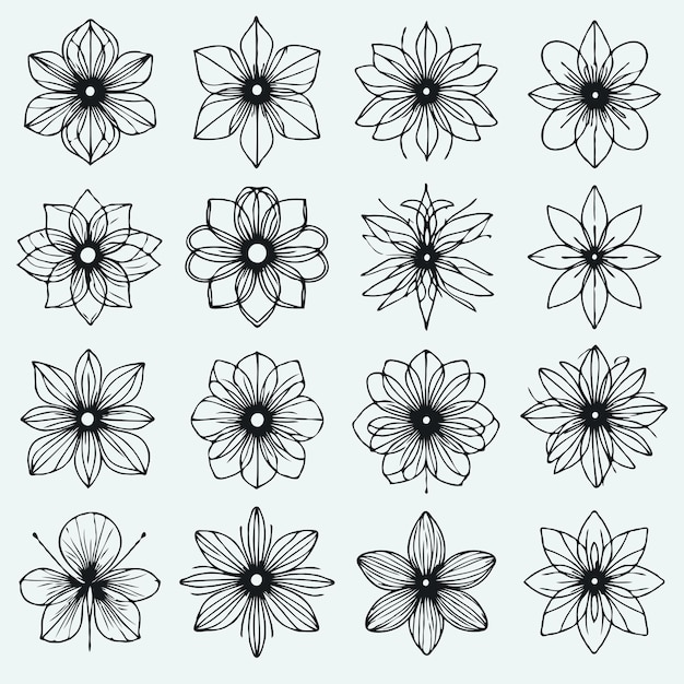 una colección de flores de la colección de flores