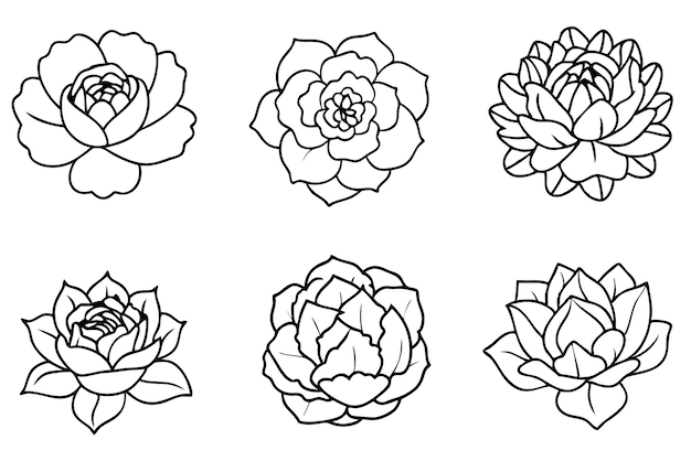 una colección de flores de la colección de flores