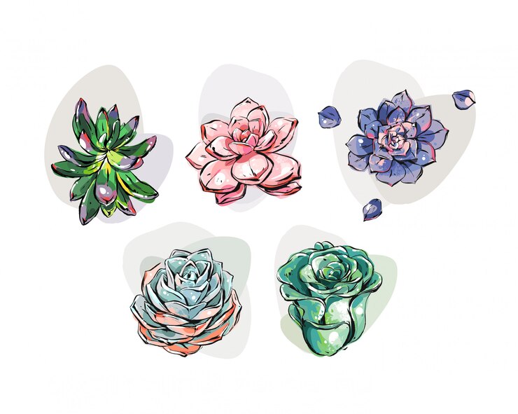 Vector colección de flores conjunto aislado sobre fondo blanco.