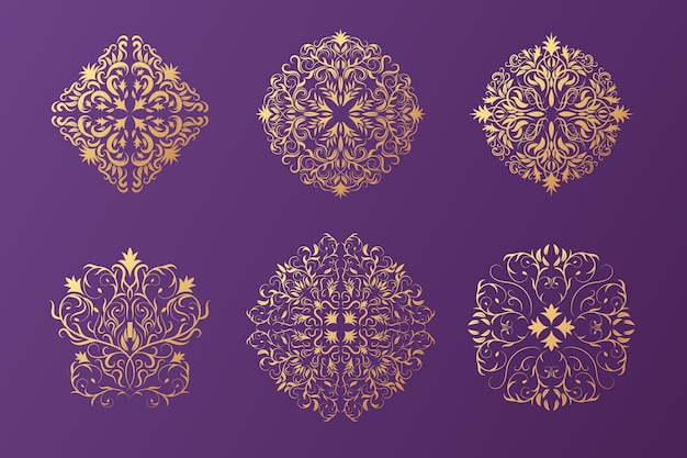 Colección de flores de damasco en gradiente