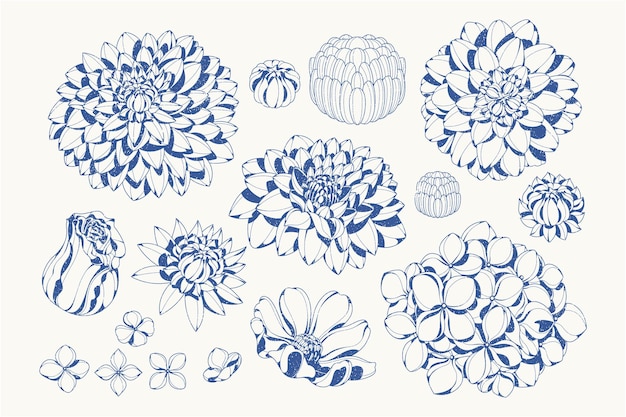 colección de flores dibujadas a mano 4