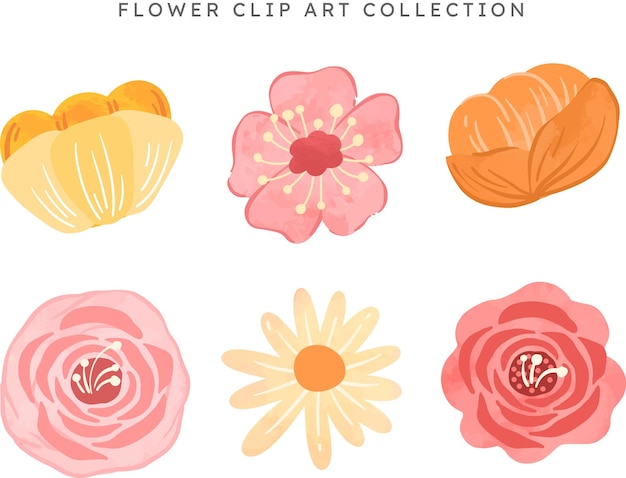 Colección de flores dibujadas a mano de 6 ilustraciones botánicas en fondo blanco