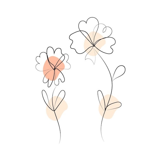 Colección de flores dibujadas a mano por vector