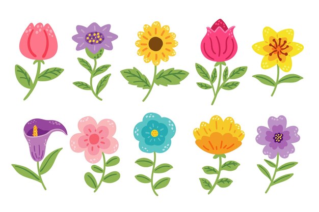 Vector colección de flores dibujadas a mano