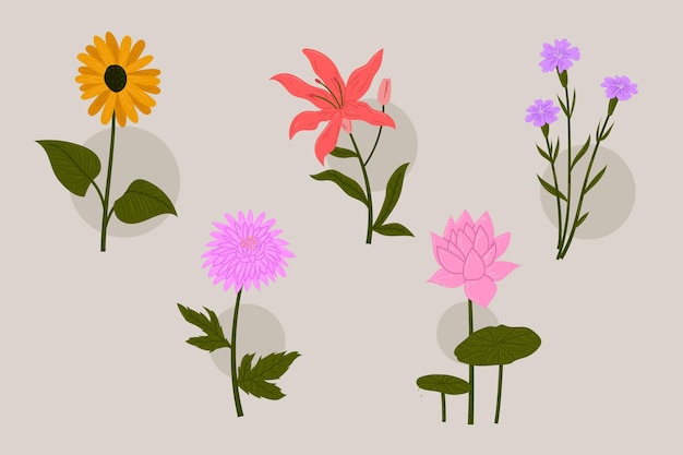 Vector colección de flores dibujadas a mano