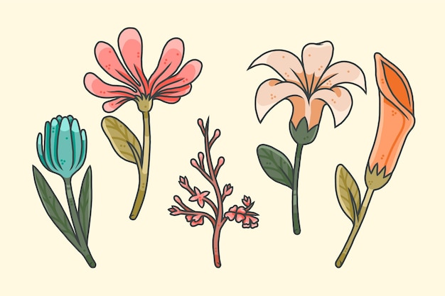 Vector colección de flores dibujadas a mano