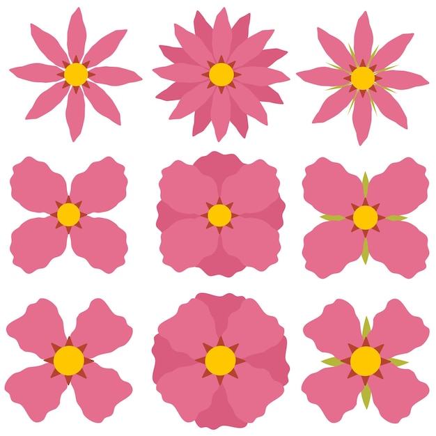 Colección de flores dibujadas a mano