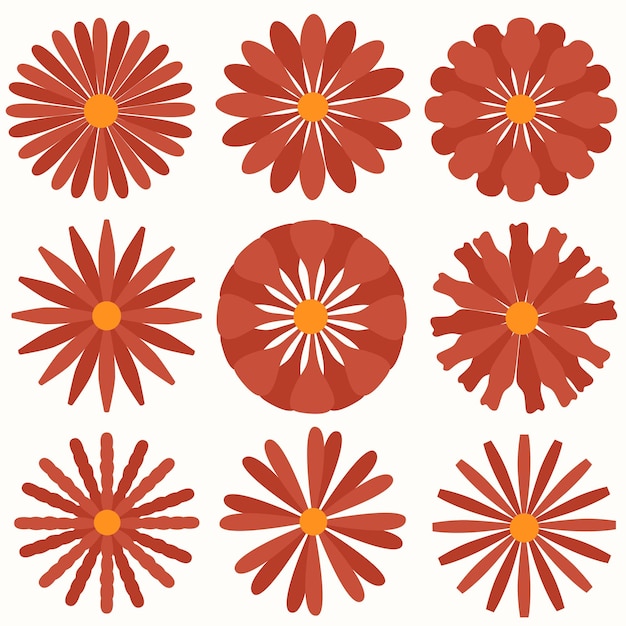 Colección de flores dibujadas a mano