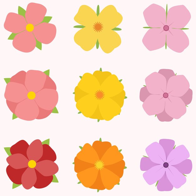 Colección de flores dibujadas a mano