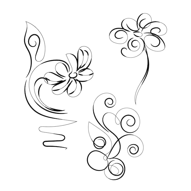 Colección de flores dibujadas a mano