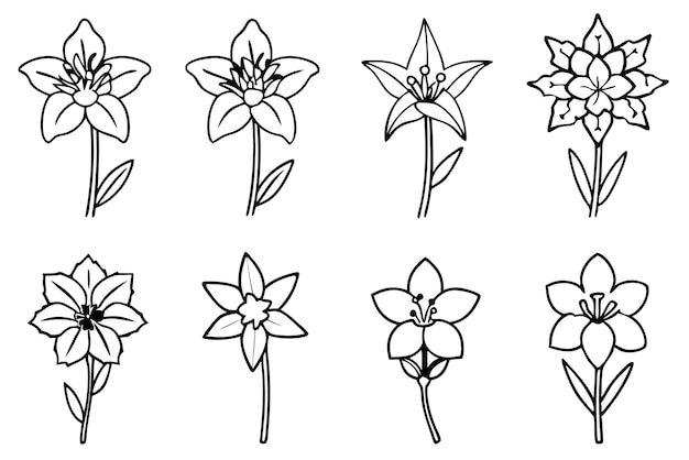 una colección de flores dibujadas sobre un fondo blanco