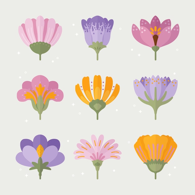 Colección de flores de diseño plano dibujado a mano de colores