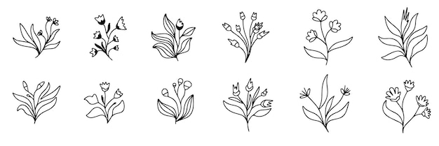 Colección de flores en estilo doodle Arte vectorial dibujado a mano