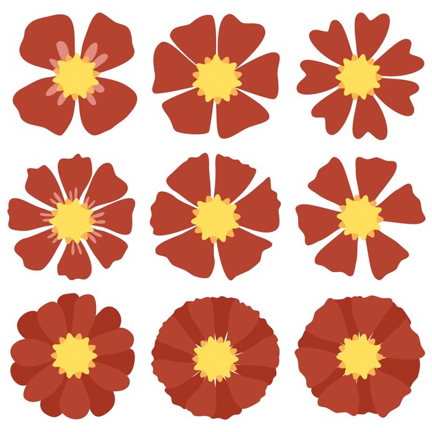 una colección de flores con flores amarillas y rojas