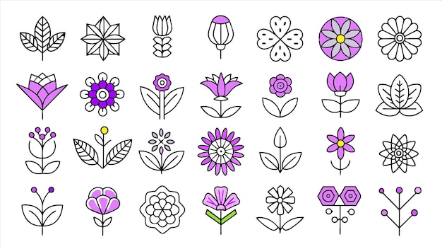 una colección de flores con flores púrpuras y moradas