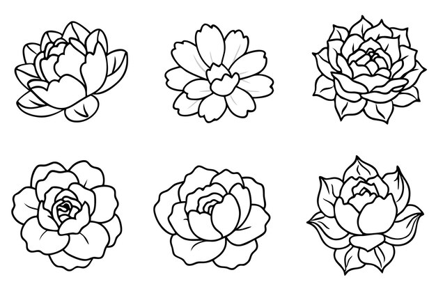 una colección de flores con un fondo blanco y negro