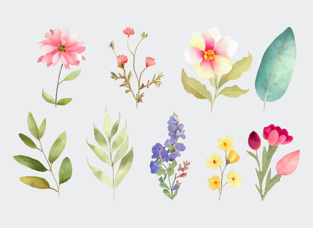 Colección de flores Hermoso conjunto de acuarela de adornos de diseño
