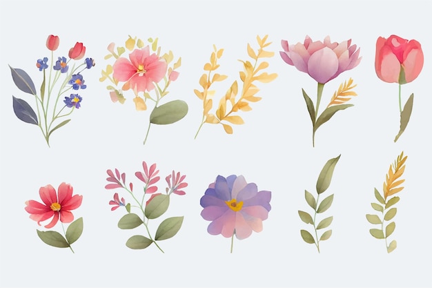 Colección de flores Hermoso conjunto de acuarela de adornos de diseño