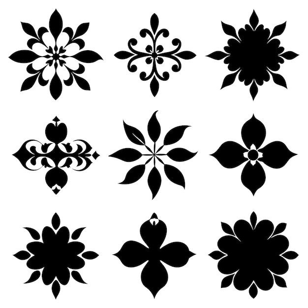 una colección de flores y hojas blancas y negras