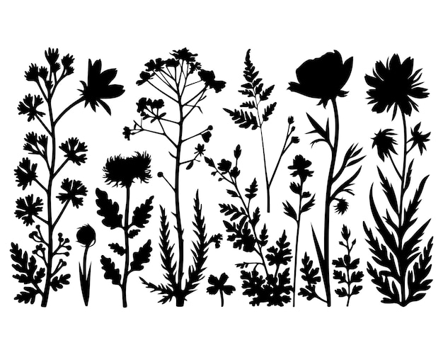 Colección de flores, hojas y plantas de silueta negra sobre un fondo blanco