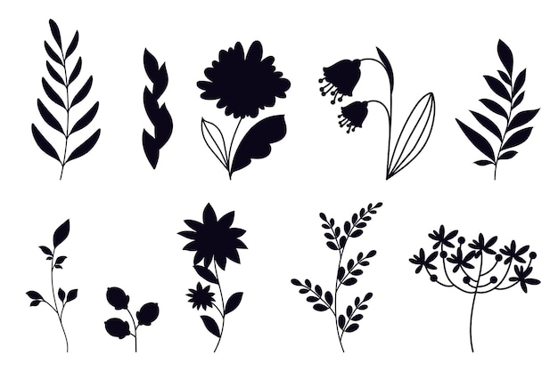 Colección de flores hojas y ramas siluetas aisladas en fondo blanco