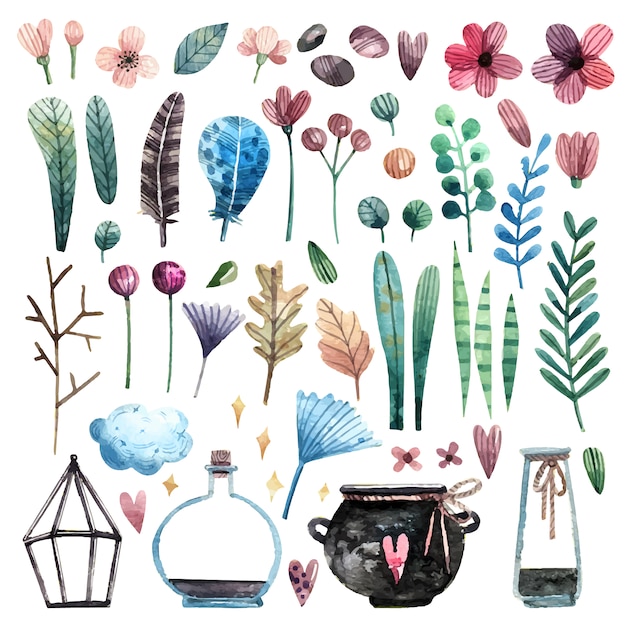 Colección de flores y hojas.