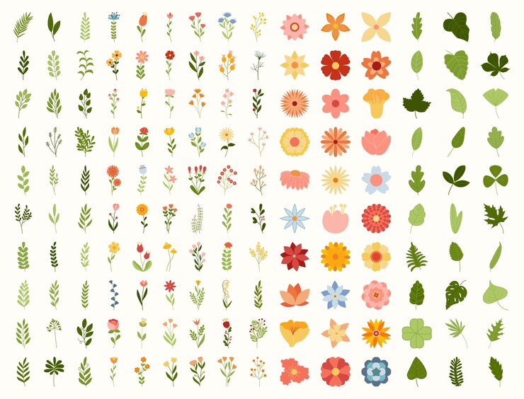 colección de flores y hojas