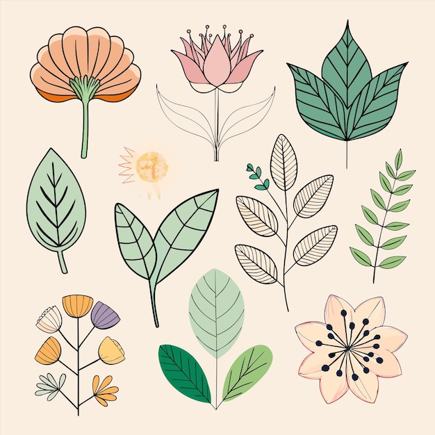 una colección de flores, incluida una con las hojas en ella