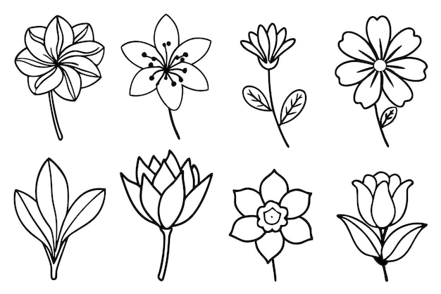 una colección de flores, incluido el loto, el loto y el loto