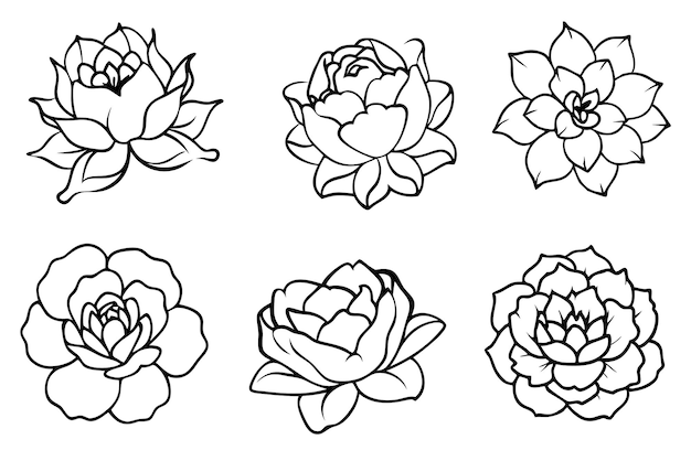 una colección de flores incluyendo una que dice peonías