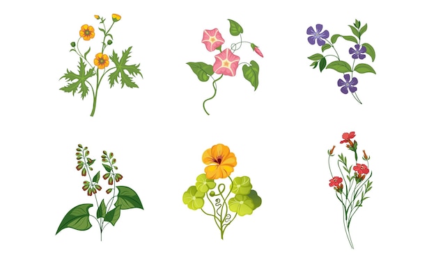 Colección de flores de jardín en flor con hojas decorativas elementos florales naturales vector