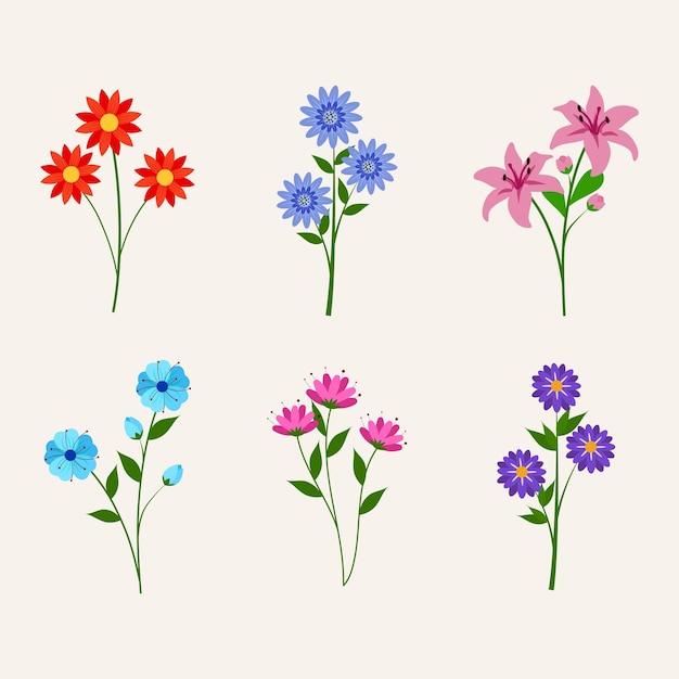 una colección de flores del jardín