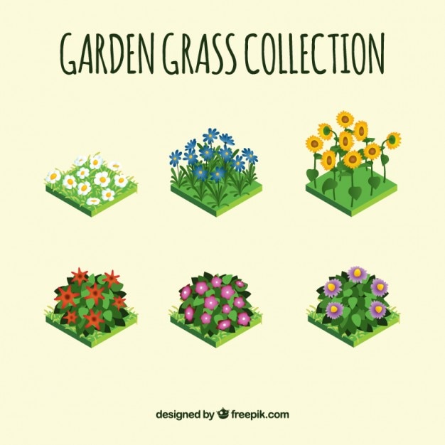 Colección de flores de jardín