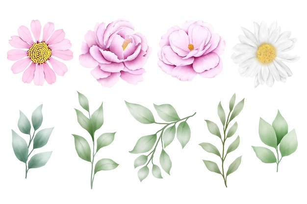 una colección de flores del jardín