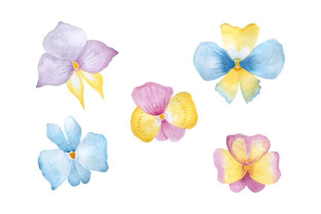 Colección de flores de orquídeas ilustración de vector de acuarela dibujada a mano para tarjeta de felicitación o invitación