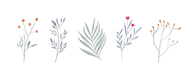 Colección de flores de plantas de acuarela pintadas a mano