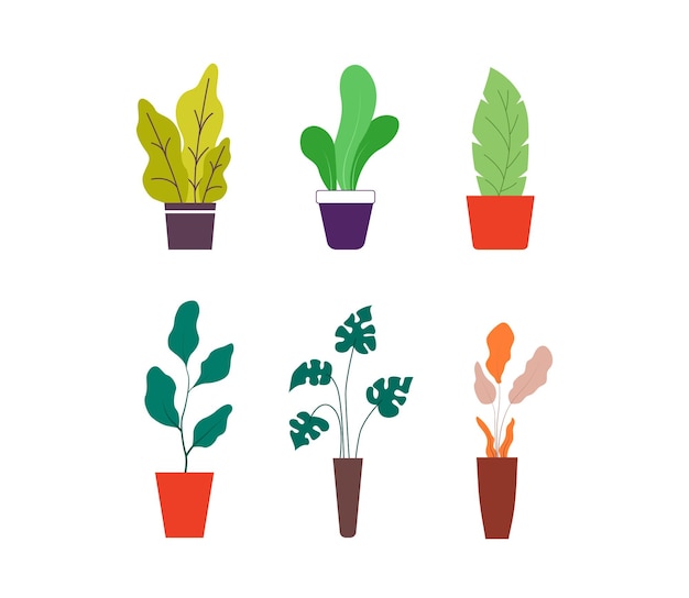 Colección de flores y plantas de interior tropical Ilustración moderna de vector de planta de interior