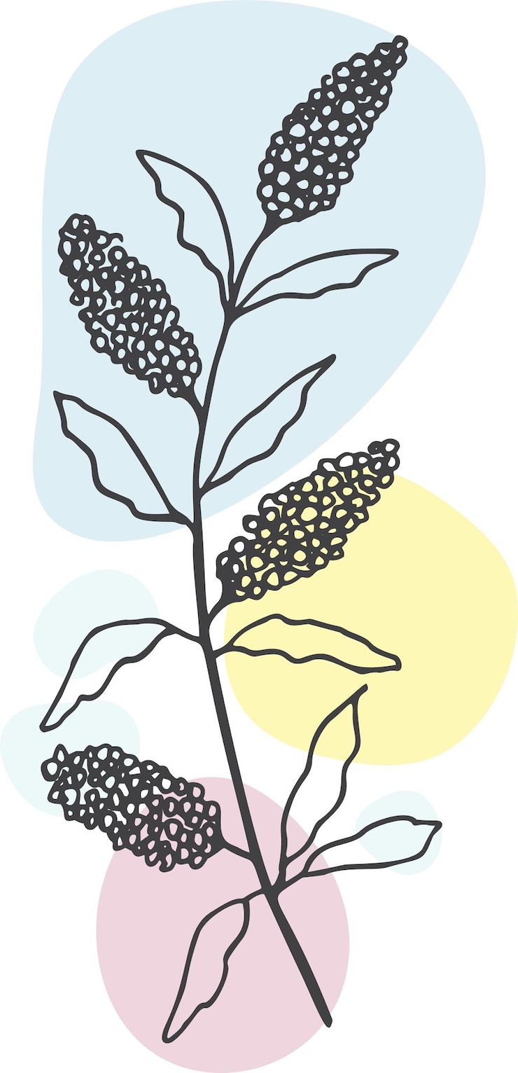 Vector colección de flores y plantas de primavera dibujadas a mano ilustraciones vectoriales monocromáticas en estilo boceto