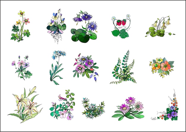 Colección de flores de primavera dibujadas a mano de vector libre