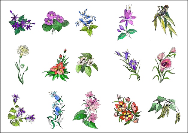 Colección de flores de primavera dibujadas a mano de vector libre