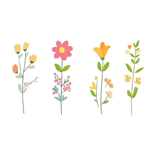 Colección de flores de primavera dibujadas a mano
