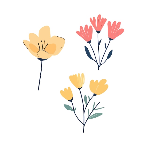 Colección de flores de primavera dibujadas a mano